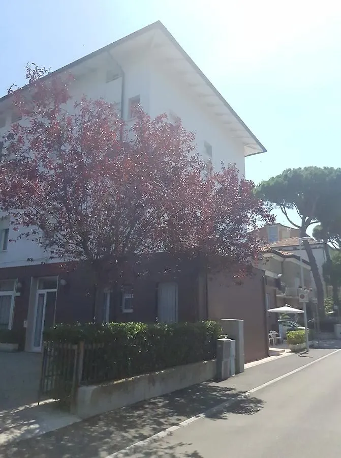 Hotel Byron Light Nuova Gestione 2024 Riccione Italy